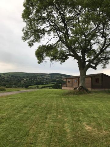 Redwood Lodge Ludlow Luaran gambar
